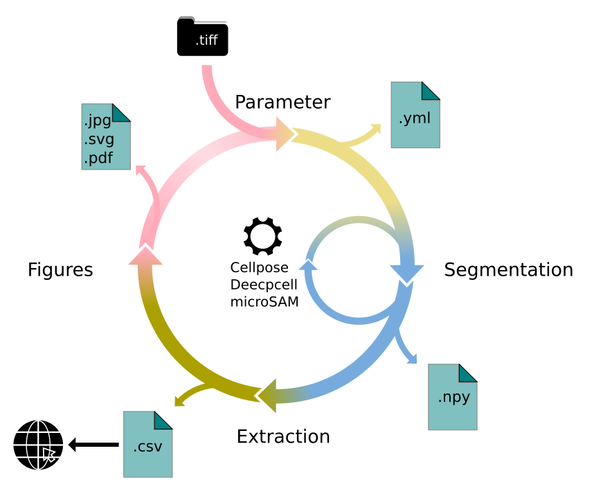 python api